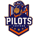 Taoyuan Pilots