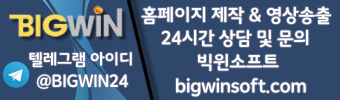 빅윈소프트